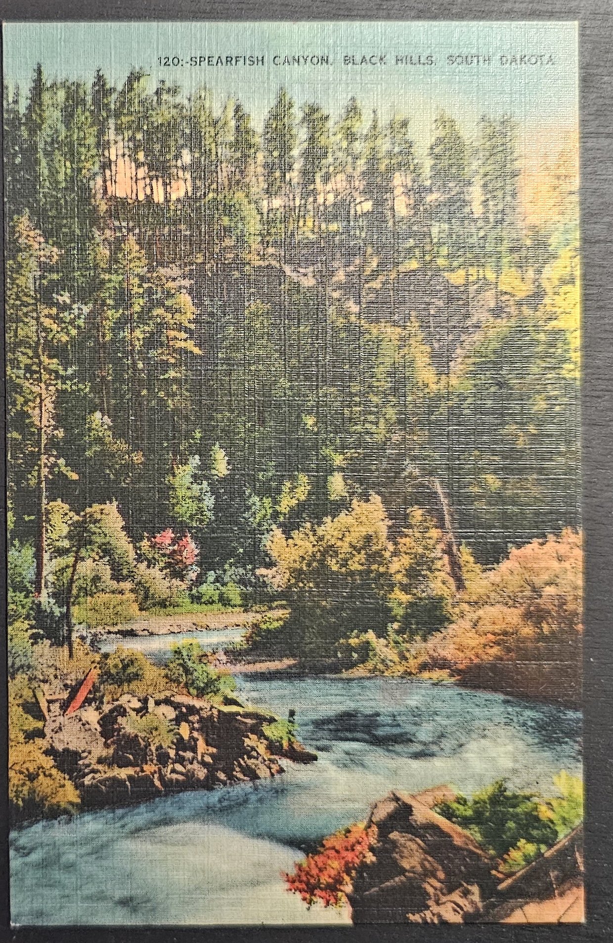 (image for) postcard USA - SD - South Dakota #0007